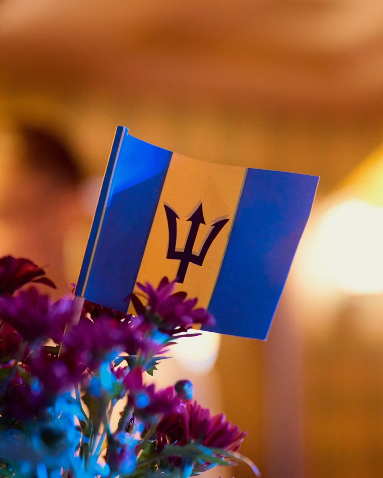 Bandeira de Barbados entre flores roxas na decoração, com luz quente desfocada ao fundo